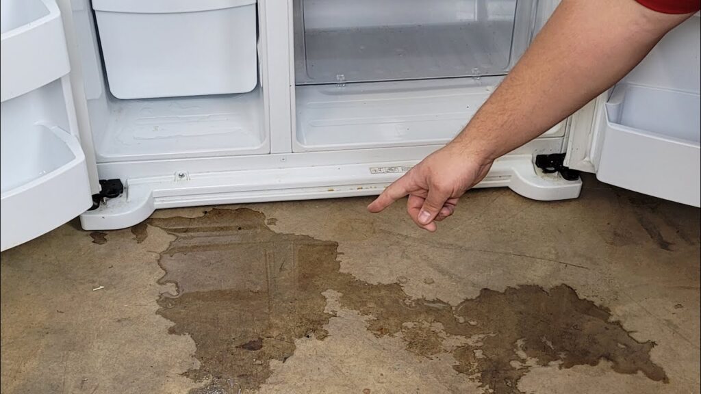 Water Leaking Inside or Outside the Refrigerator Water Leaking Inside or Outside the Refrigerator