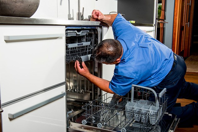 Dishwasher Unusual noises we fix in Vancouver